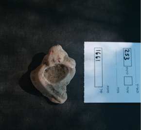 caracolmurex.jpg caracolmurex.jpg