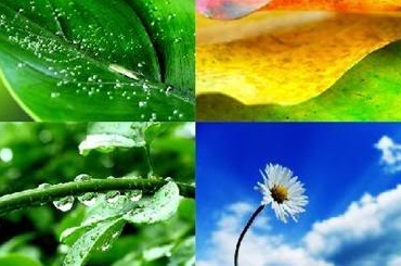 naturaleza2009-01
