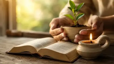 Proverbios, propuestas para una vida mejor : La Adquisición suprema