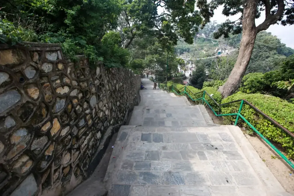 Proverbios, propuestas para una vida mejor : Hay caminos que al hombre le parecen derecho