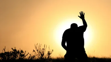 La templanza doblega los excesos - 7 virtudes capitales entreCristianos La templanza doblega los excesos - 7 virtudes capitales
