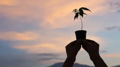El poder de la esperanza