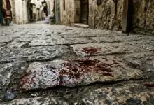 La Sangre - Parte 2