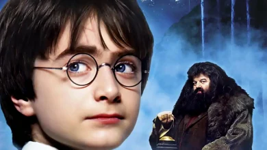 Una madre cristiana reescribe "Harry Potter" con valores para sus hijos entreCristianos Una madre cristiana reescribe "Harry Potter" con valores para sus hijos