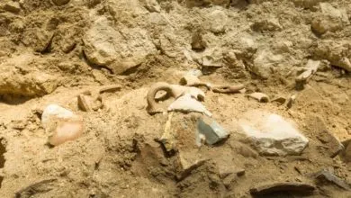 Arqueólogos hallan evidencia de terremoto mencionado en la Biblia