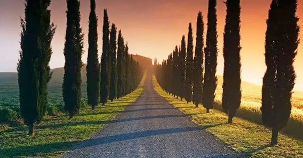 Aristarco, un discípulo asombroso entreCristianos Aristarco, asombroso discípulo del camino