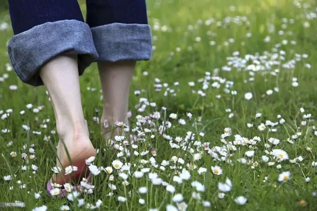 Lo terrenal debe morir entre nosotros