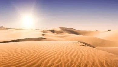 Un llanto en el desierto