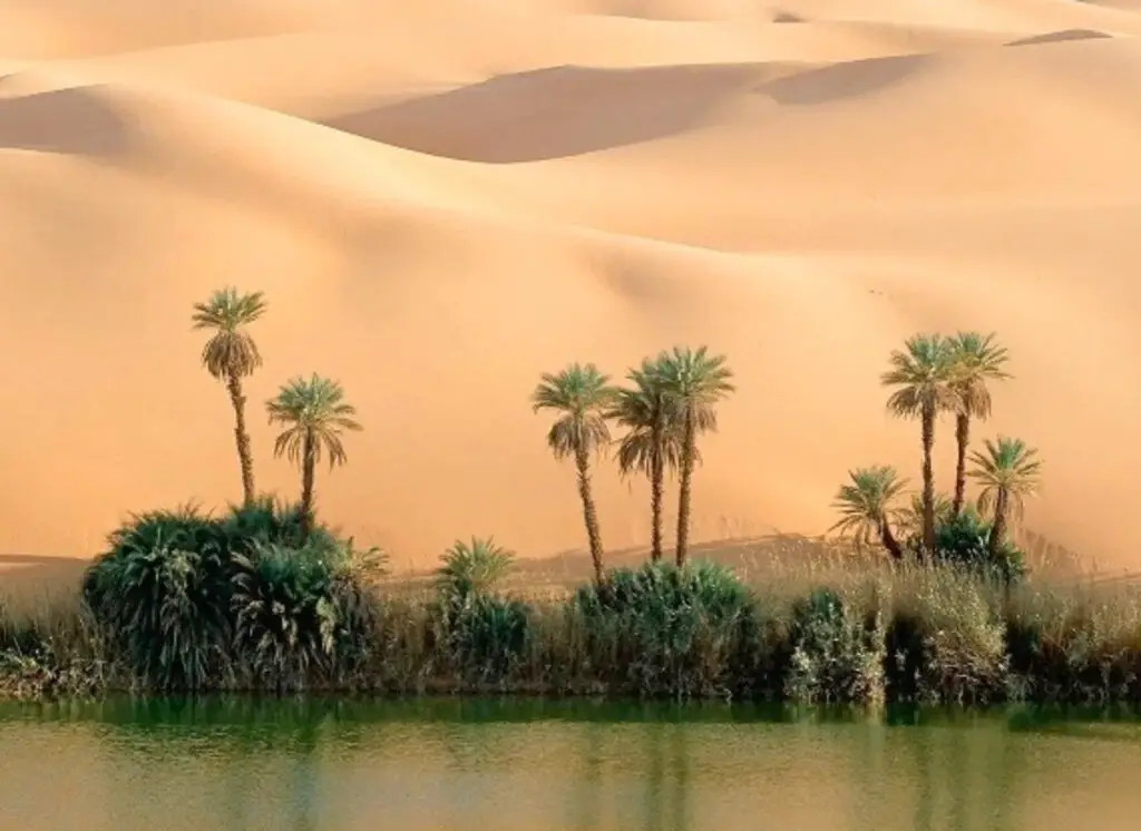 Aguas en el desierto