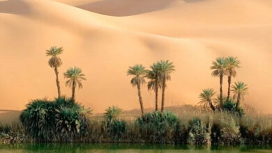 Aguas en el desierto