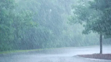 Mientras llega la lluvia