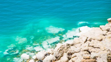 Fenómenos en el Mar Muerto: ¿Cumplimiento de Ezequiel 47?