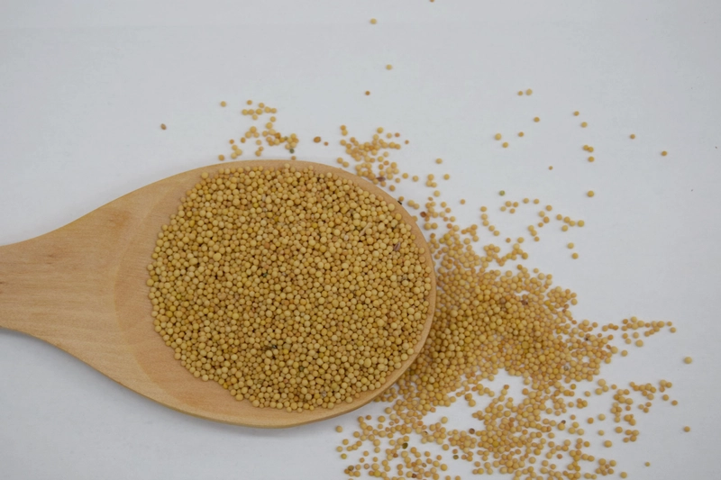 Siervos inútiles: la enseñanza de Jesús sobre la humildad y el servicio