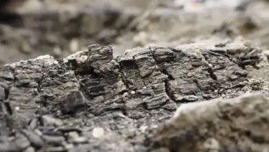 Evidencia arqueologica confirma la destrucción de Jerusalén en 586 a.C.